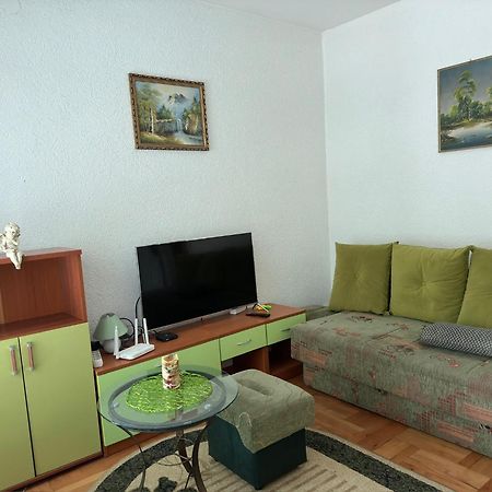 Apartman Radicevic Vrnjačka Banja Екстериор снимка
