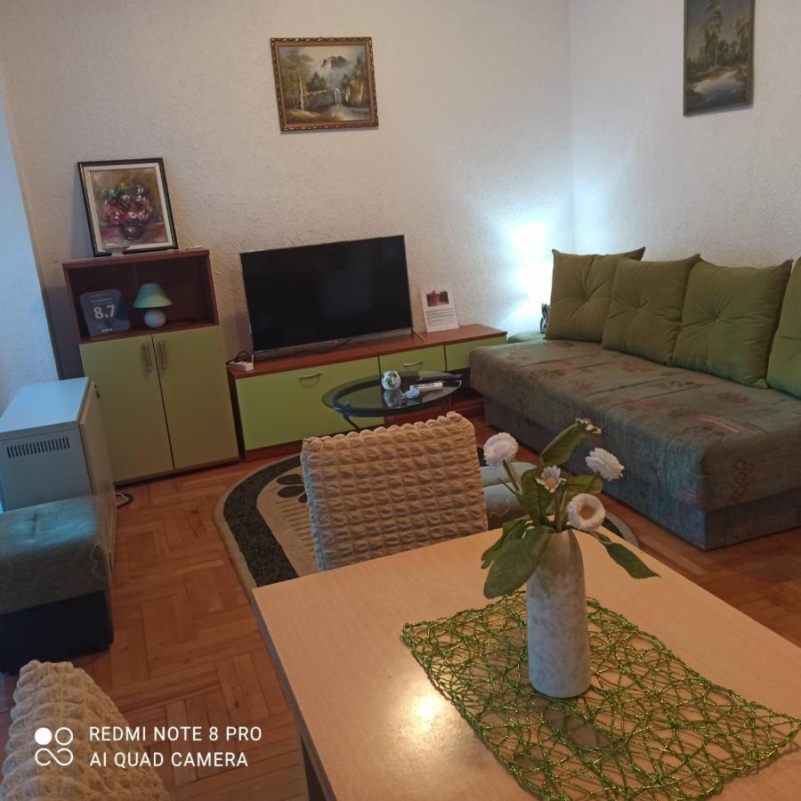 Apartman Radicevic Vrnjačka Banja Екстериор снимка